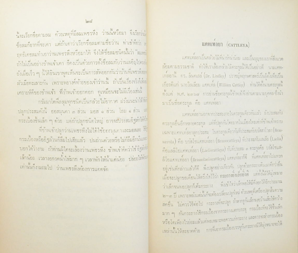 พระอินทปริญญารำลึก (เล่าเรื่องกล้วยไม้ สิ่งละอันพันละน้อย)
