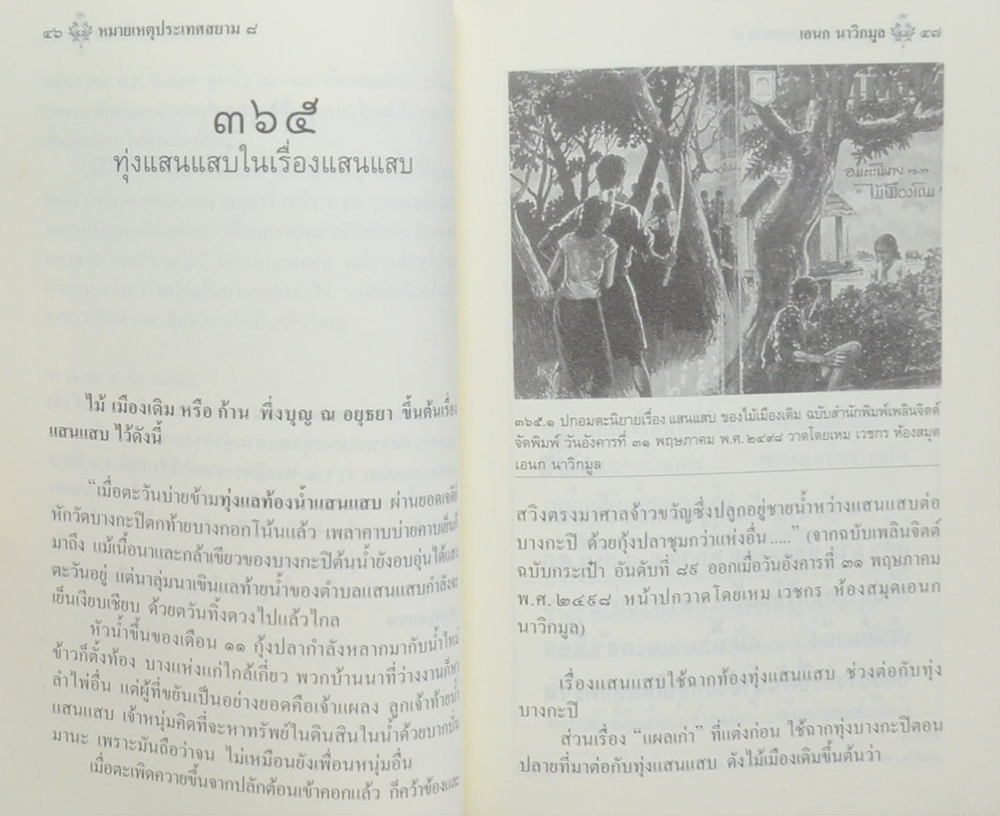 หมายเหตุประเทศสยาม (เล่ม 8)