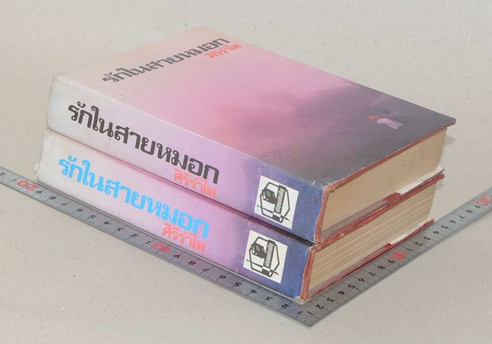 รักในสายหมอก (2 เล่มจบ)