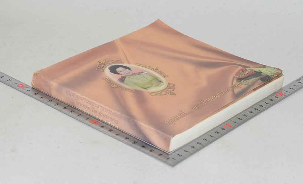 นางประไพ จักกะพาก (อาหารพื้นบ้าน 4 ภาค)