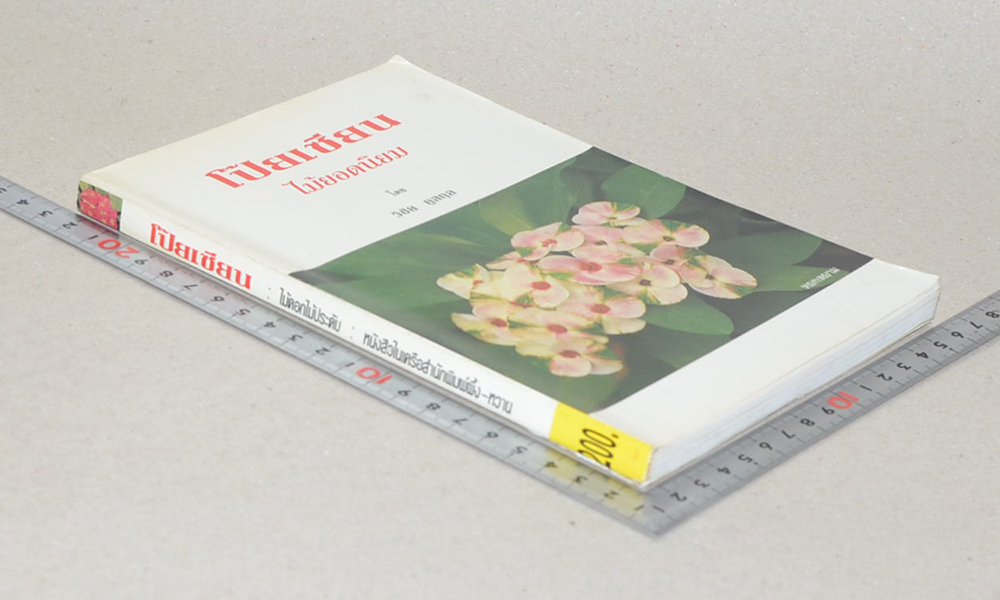 โป๊ยเซียน ไม้ยอดนิยม