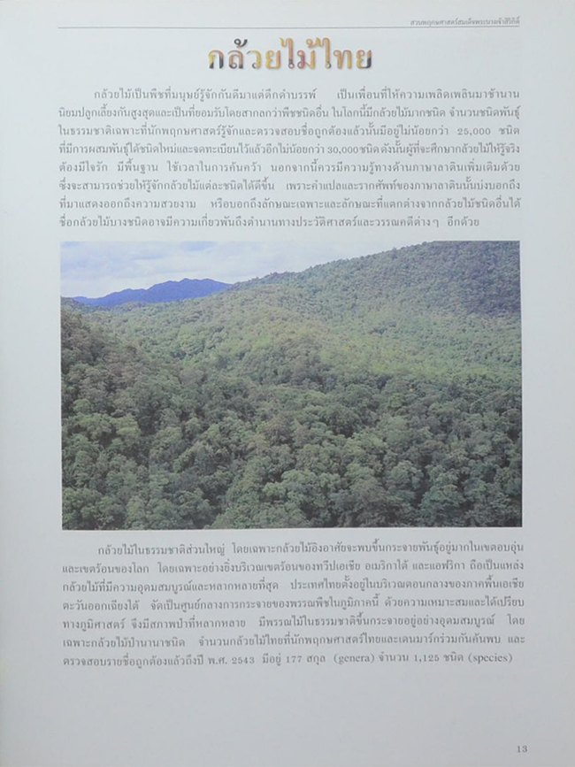 สวนพฤกษศาสตร์สมเด็จพระนางเจ้าสิริกิติ์ เล่ม 6 กล้วยไม้ไทย (ขายตามสภาพ)