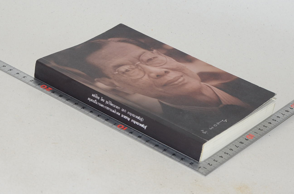 นายชาญ กาญจนาคพันธุ์ (หลักไทย)