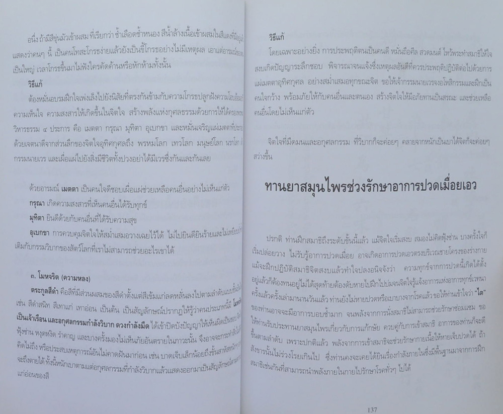 คุณแม่สุรางค์ อังจันทร์เพ็ญ (แนวคำสอนสมเด็จโต สมาธิ ทางสงบ ถอดจิต)