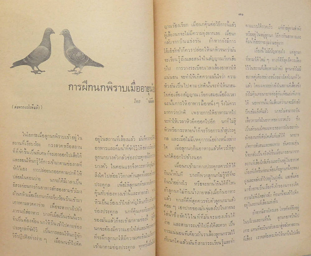 สัตว์เลี้ยง ปีที่ 17 ฉบับที่ 202 พฤศจิกายน 2515