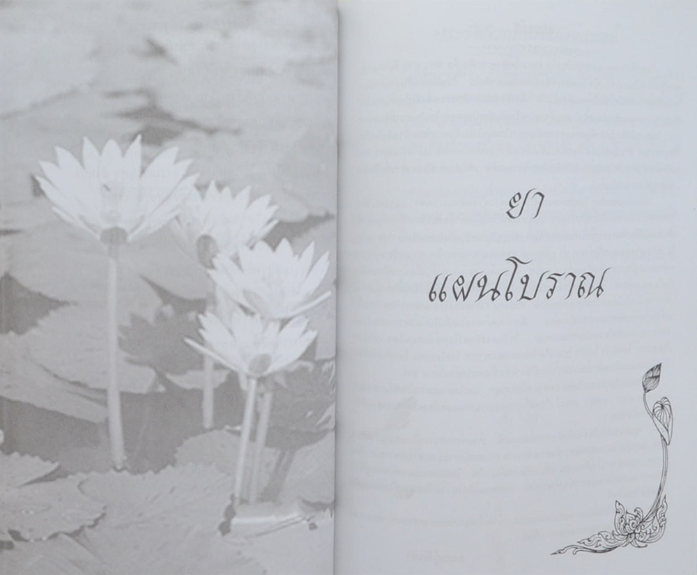 พระครูอุทัยธรรมธารี (ยาแผนโบราณ)