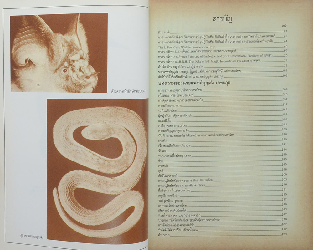 การต่อสู้และผลงาน ของ นายแพทย์บุญส่ง เลขะกุล