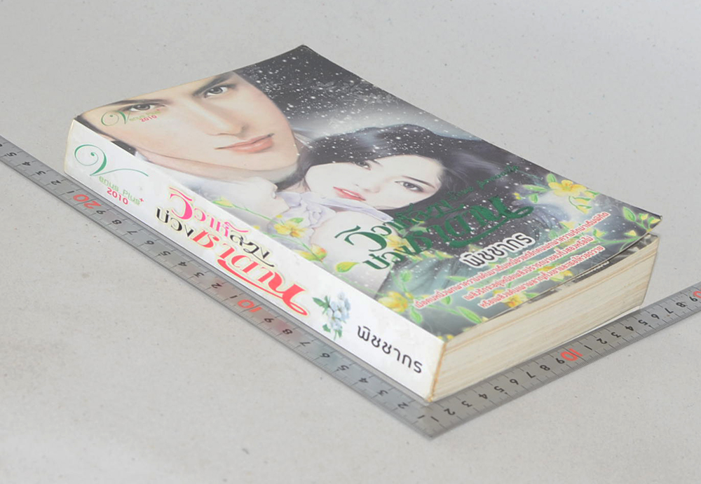 วิวาห์ลวง บ่วงซาตาน (เล่มเดียวจบ)