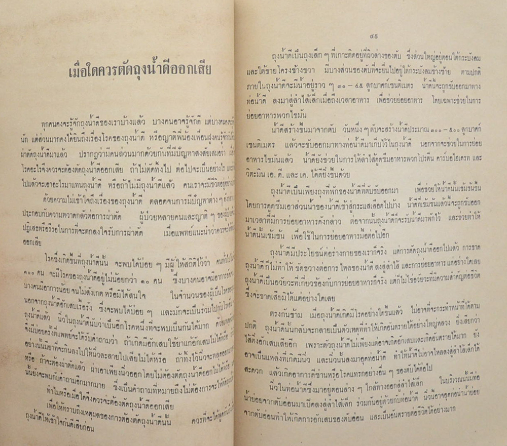นางวงษ์ แสงประภา (เพื่อสุขภาพ-อนามัย)