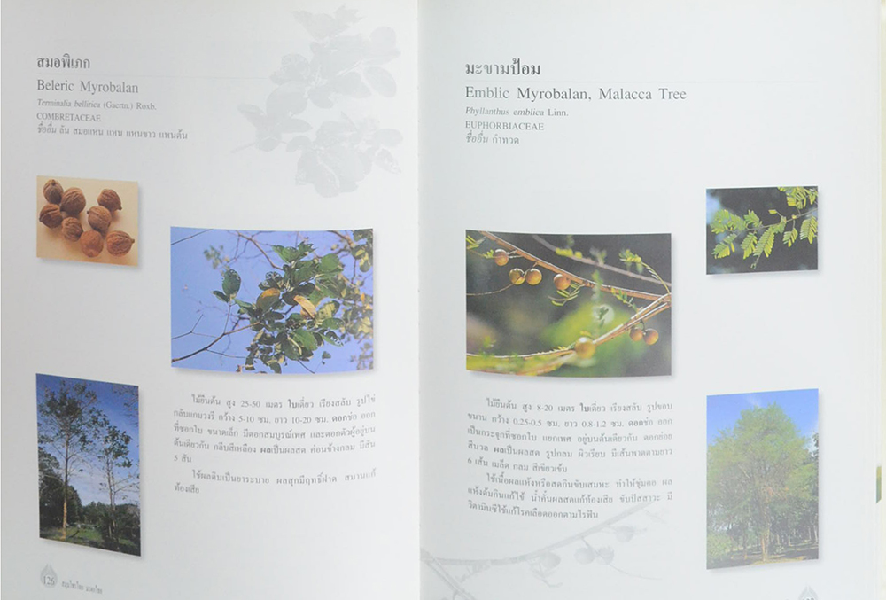 สมุนไพรไทย มรดกไทย