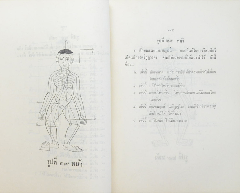 ตำรายา ศิลาจารึกในวัดพระเชตุพนวิมลมังคลาราม (วัดโพธิ์)พระนคร