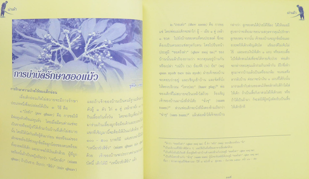 ชาวเขาเผ่า แม้ว