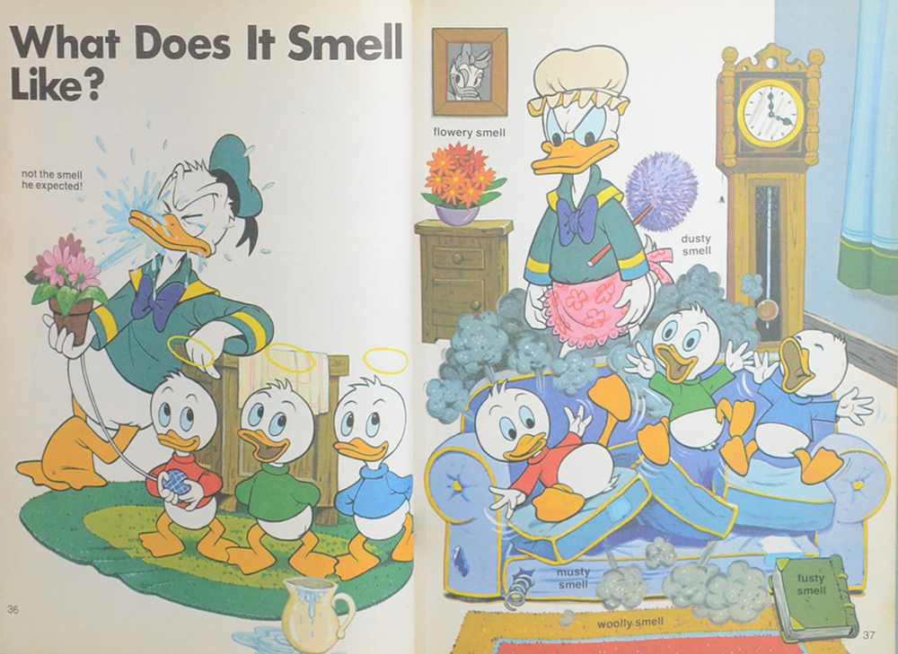 Words that Tell you About Things