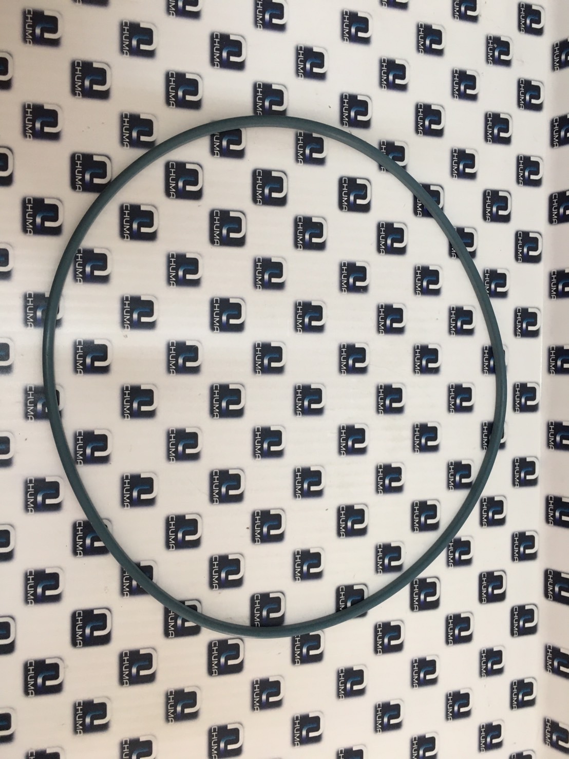 Pump Products Gmbh, 301-000-003-003