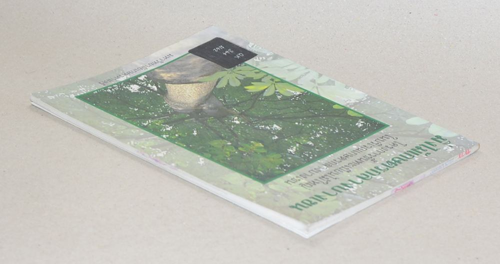 มิ่งไม้เกษตรกลางบางเขน (ขาตามสภาพ)