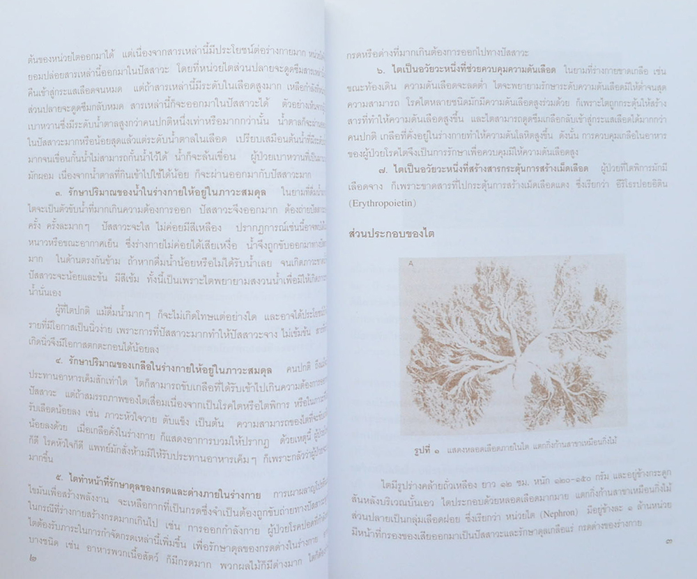 นางจิ้มลิ้ม พูลสวัสดิ์ (ความรู้เรื่องโรคไตสำหรับประชาชน)