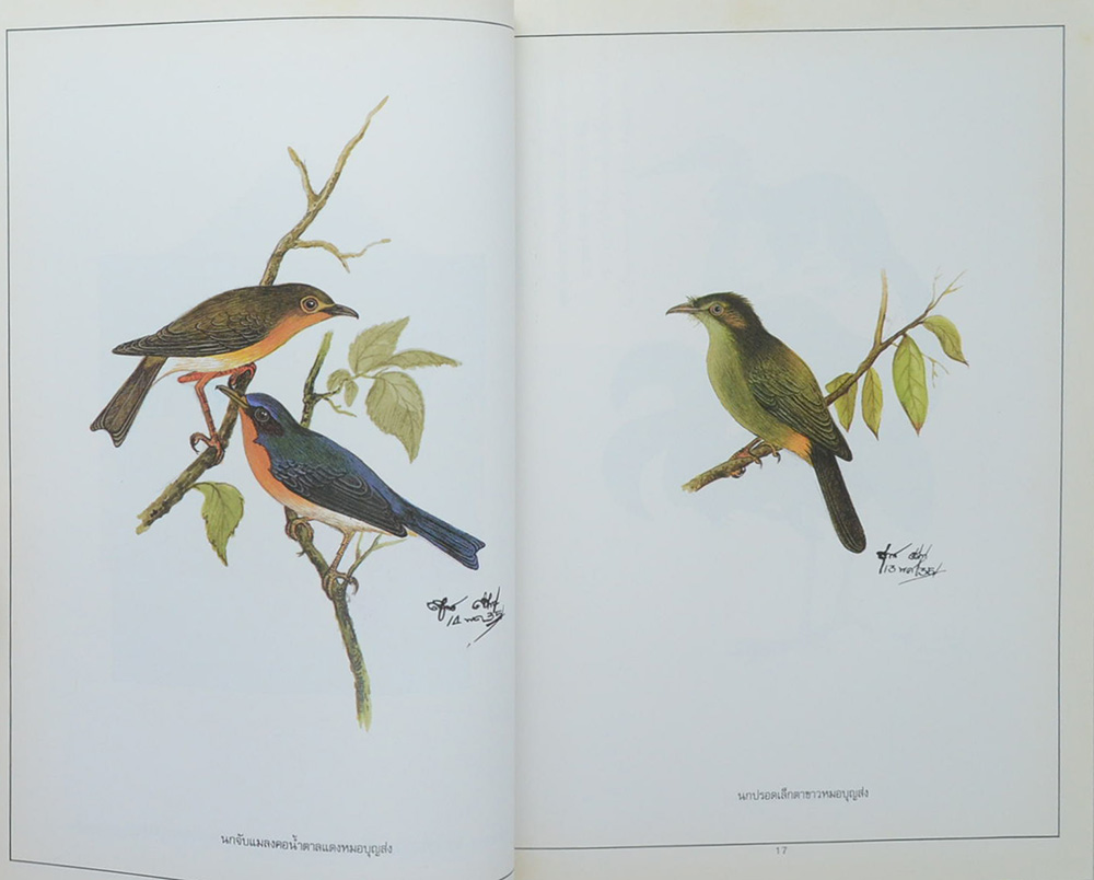 การต่อสู้และผลงาน ของ นายแพทย์บุญส่ง เลขะกุล