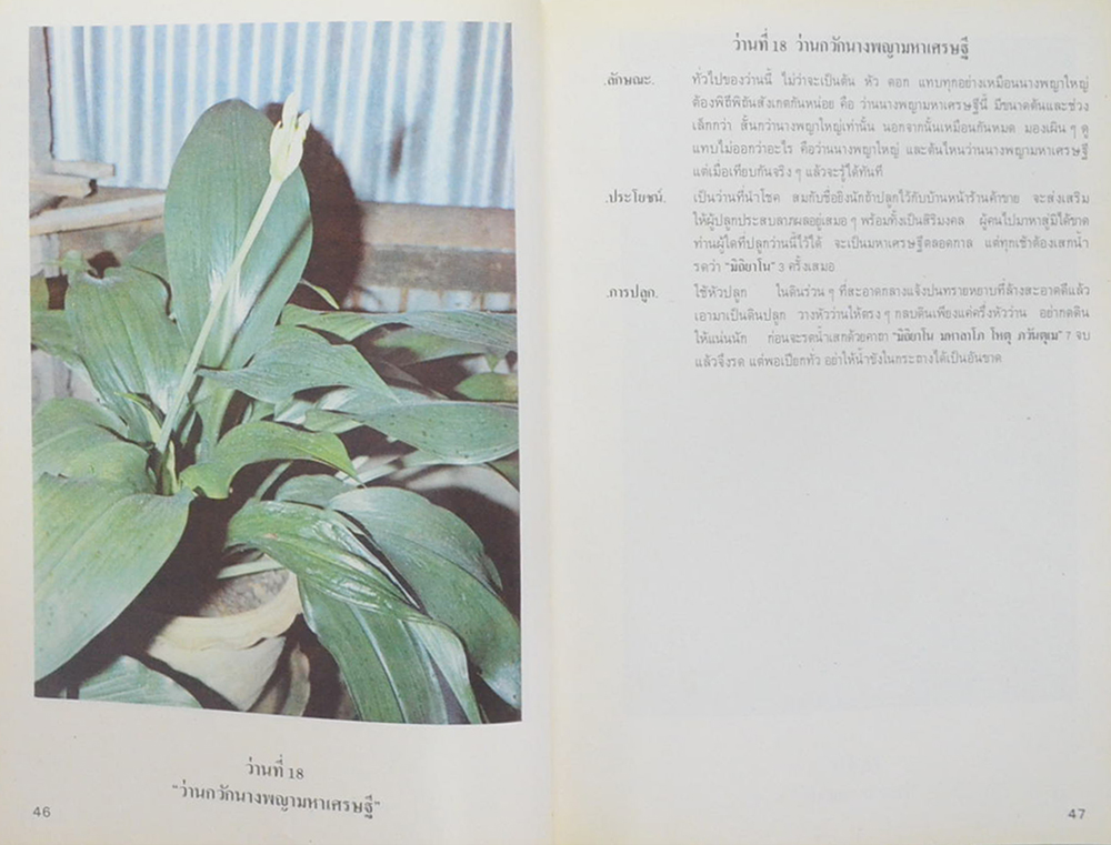 ตำราว่าน 108