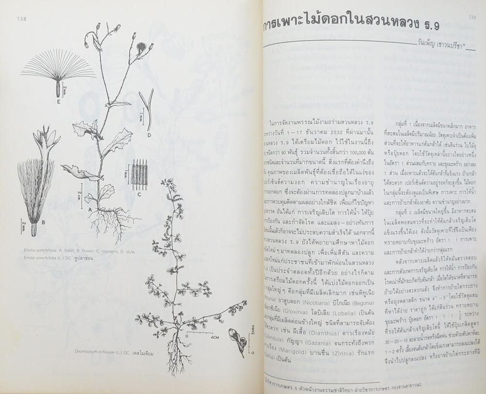 วันต้นไม้ประจำปีแห่งชาติ 2533