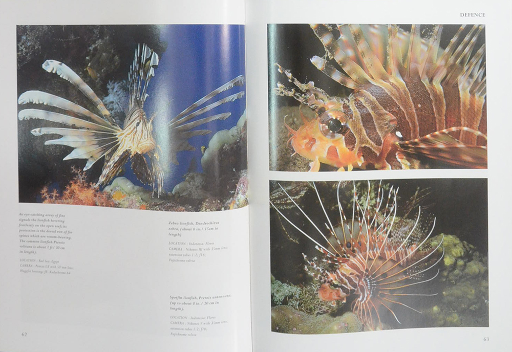 The Living Sea A Photographic Exploration of Life in the Sea