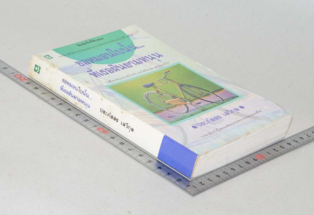 ขอหมอนใบนั้น... ที่เธอฝันยามหนุน