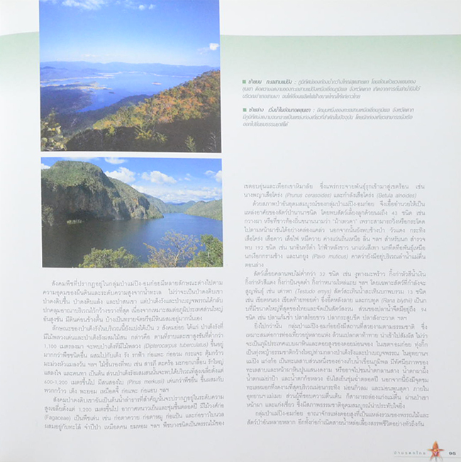 ป่ามรดกไทย อาณาจักรพรรณพืชและสรรพชีวิตแห่งป่าเขตร้อน (ขายตามสภาพ)