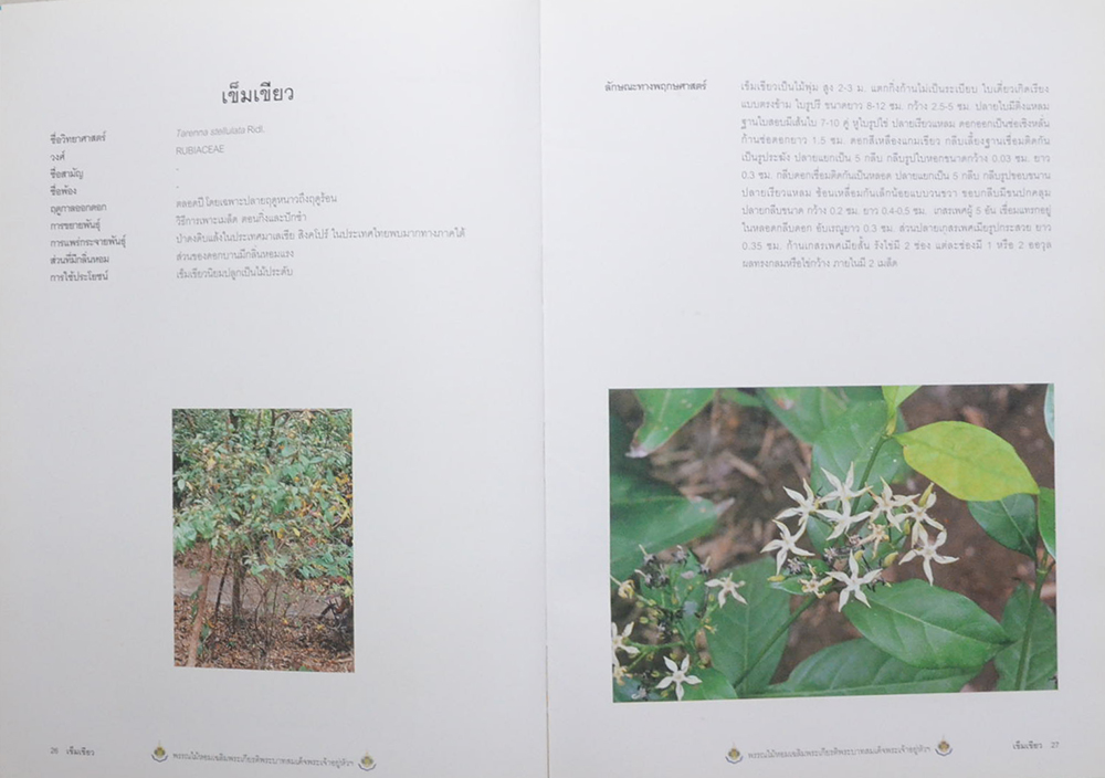 พรรณไม้หอม เฉลิมพระเกียรติพระบาทสมเด็จพระเจ้าอยู่หัว (ขายตามสภาพ)