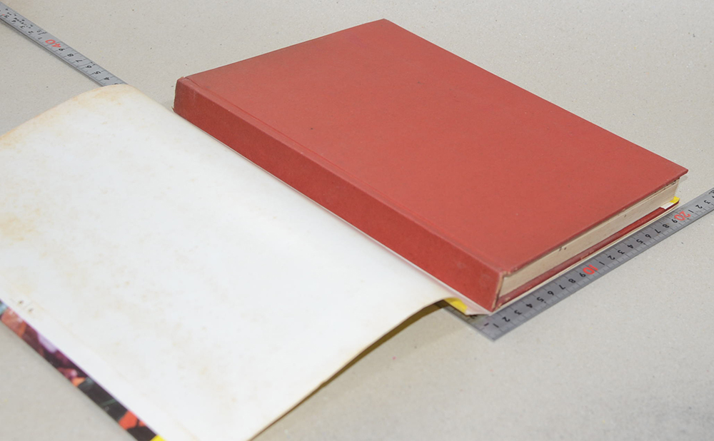 ว่านและไม้มงคล 300 ชนิด ฉบับมาตรฐาน เพิ่มเติมโกสนไทย