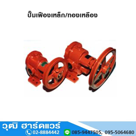 ปั๊มเฟืองเหล็ก ปั๊มเฟืองทองเหลือง 1/2"-1" (ไม่รวมมอเตอร์)