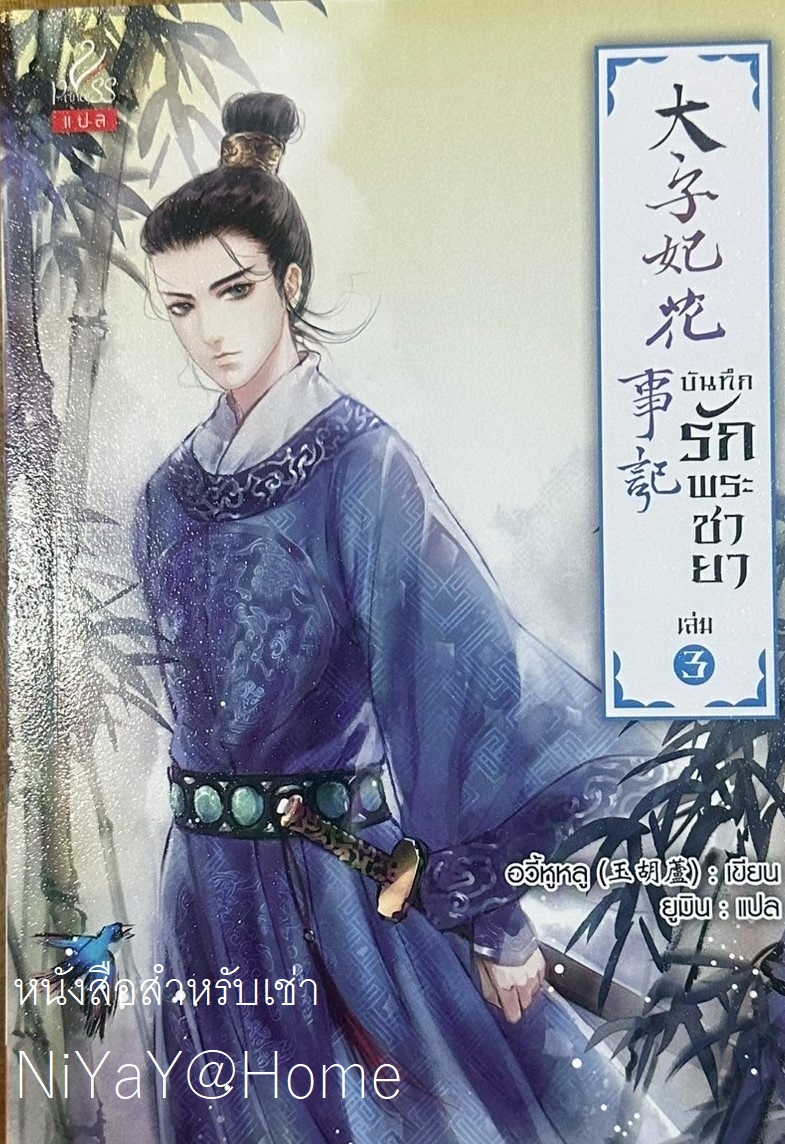 บันทึกรักพระชายา เล่ม 3