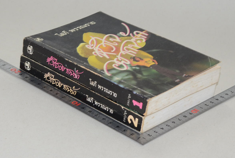 หัวใจอยากจะรัก (2 เล่มจบ)