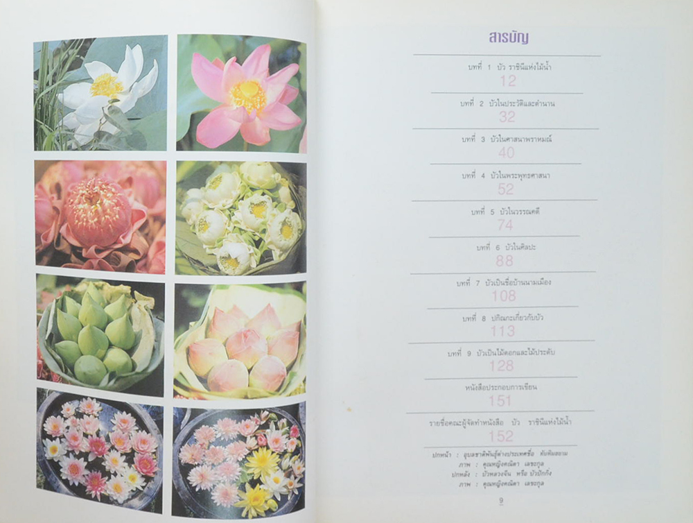 บัว ราชินีแห่งไม้น้ำ