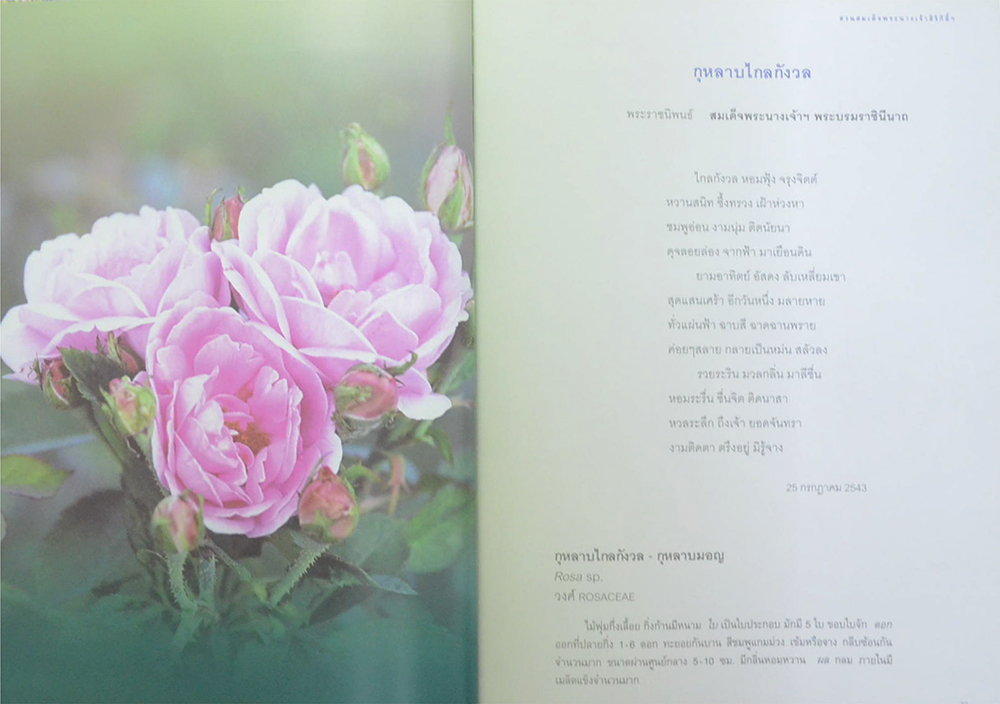 สวนสมเด็จพระนางเจ้าสิริกิติ์ (ขายตามสภาพ)