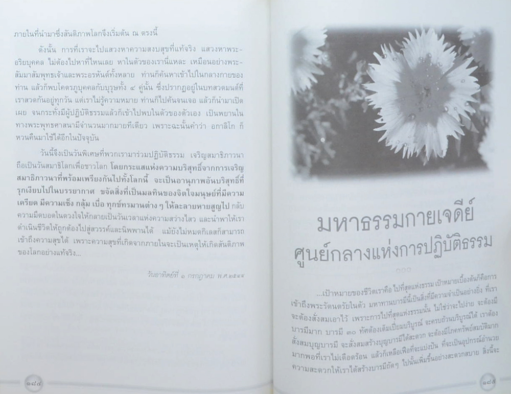 แม่ แม่พระ-พระแม่ (แม่บท เดินทางข้ามวัฏสงสาร)