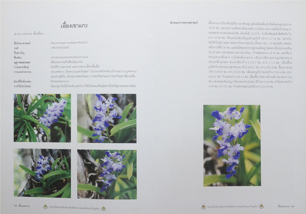 พรรณไม้หอม เฉลิมพระเกียรติพระบาทสมเด็จพระเจ้าอยู่หัว (ขายตามสภาพ)