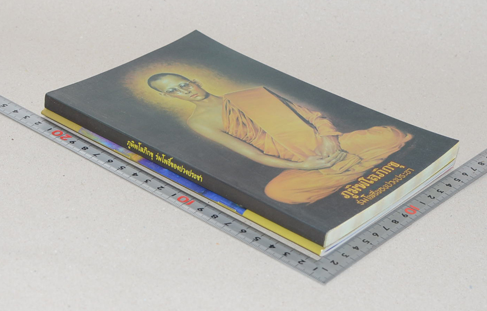 รวมเรื่อง (2 เล่ม)