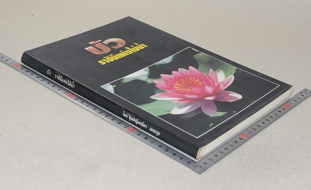 บัว ราชินีแห่งไม้น้ำ