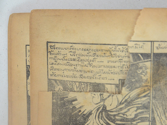 จิ้งจอกขาว ภาค 2 เล่ม 12 (ขายตามสภาพ)