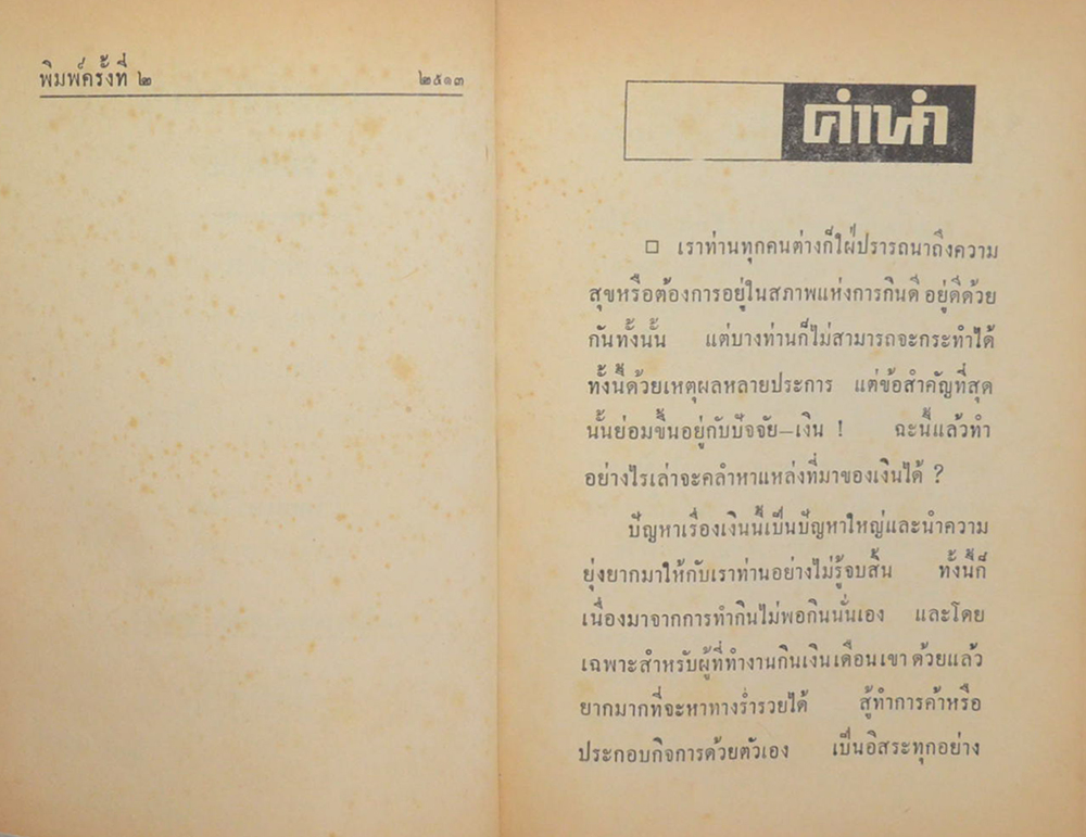 แนะวิชาชีพร้อยแปด