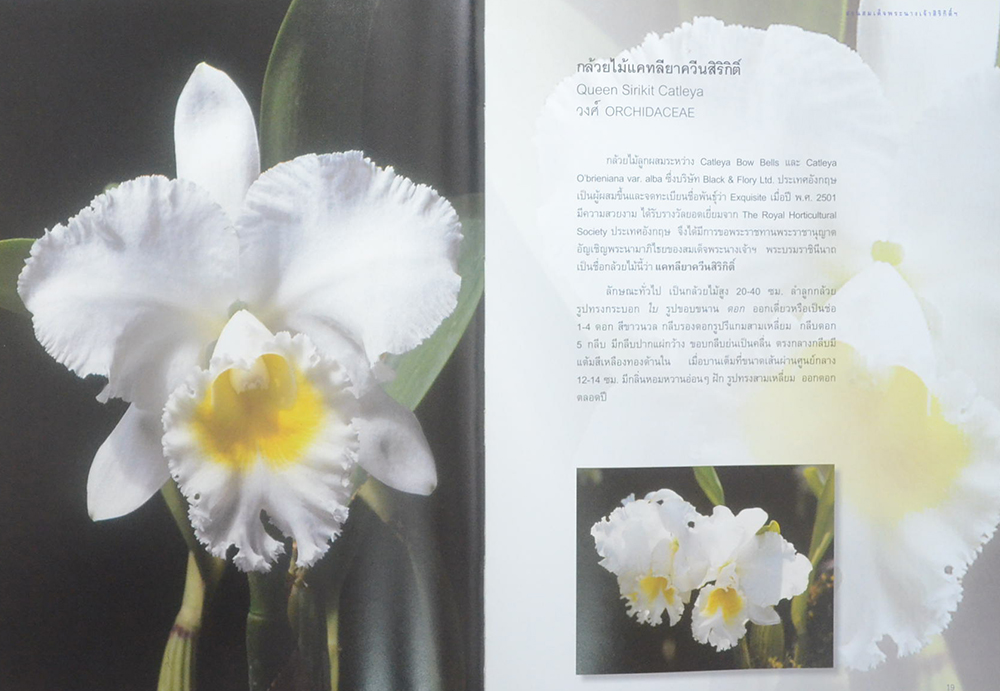 สวนสมเด็จพระนางเจ้าสิริกิติ์ (ขายตามสภาพ)