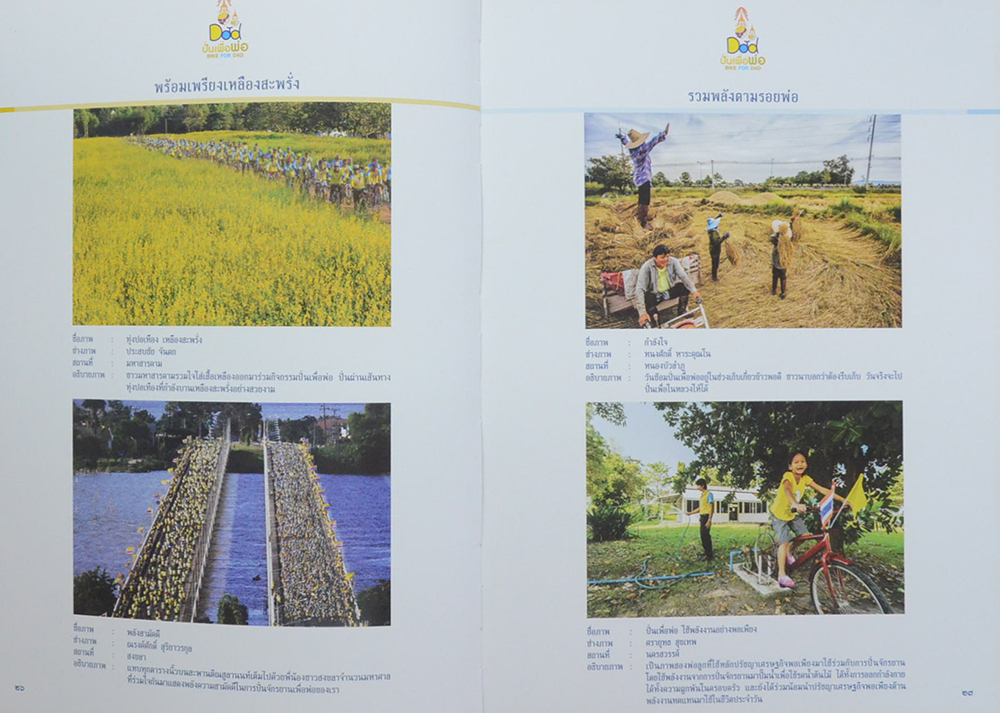 ผลการตัดสินภาพถ่าย โครงการประกวดภาพถ่าย Bike for Dad ปั่นเพื่อพ่อ