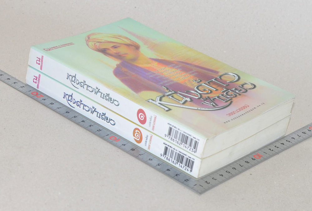 หนึ่งด้าวฟ้าเดียว (2 เล่มจบ)