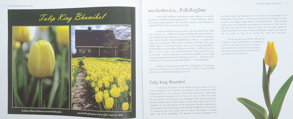 อัศจรรย์พรรณไม้งามโครงการหลวง (ขายตามสภาพ)