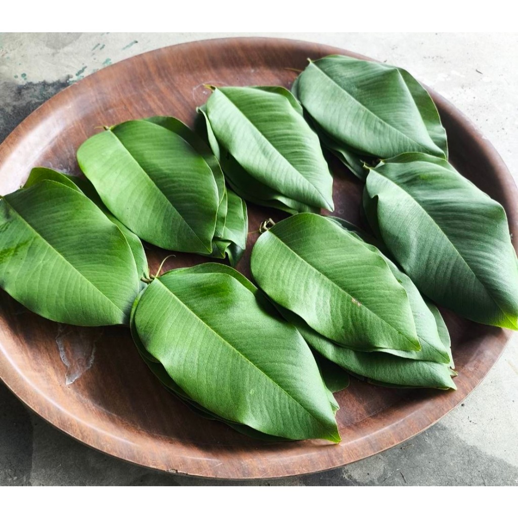 ใบคูนสด