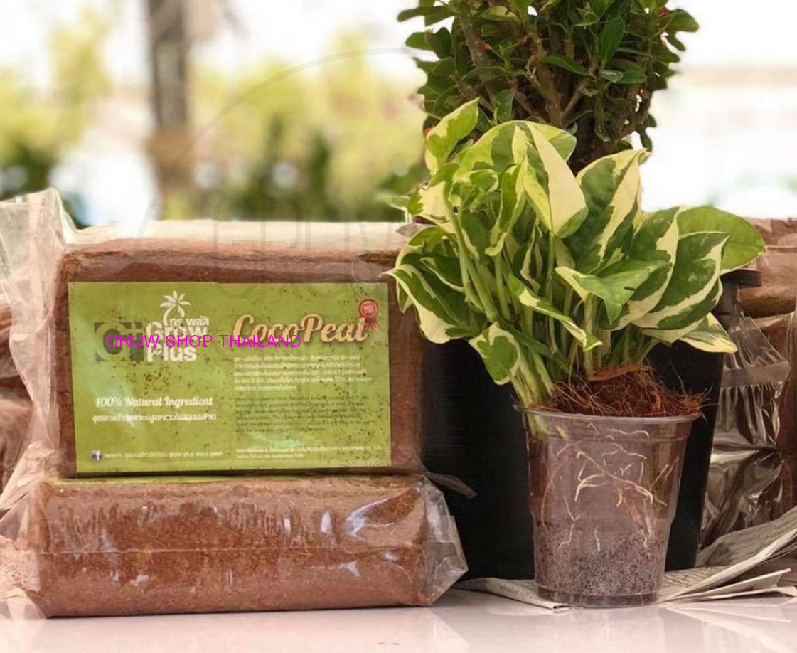 Coco Peat ขุยมะพร้าวอัดก้อน ขนาด 0.4kg วัสดุปลูกคุณภาพสูง COA Certified