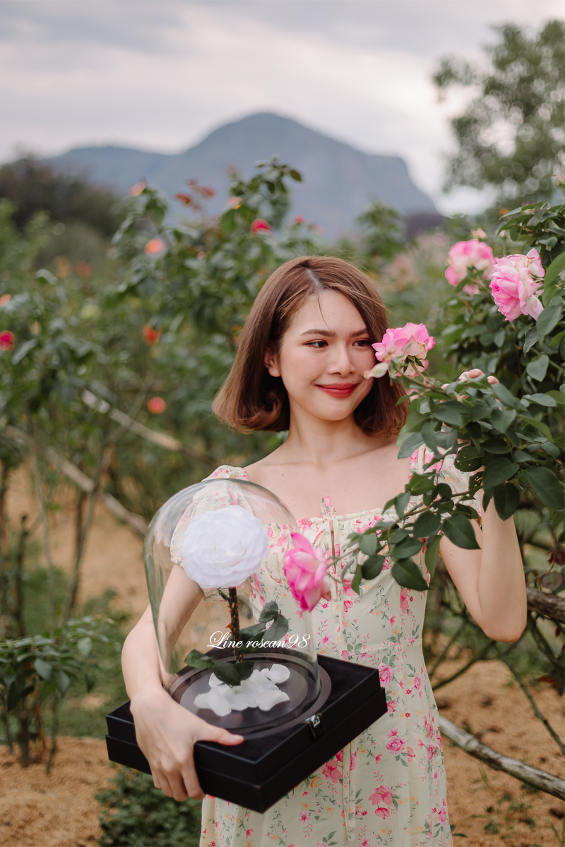 กุหลาบอมตะ Special selection กุหลาบในโหลแก้ว กุหลาบสีขาว กุหลาบวาเลนไทน์ ดอกไม้วันเกิด ของขวัญวันครบรอบ ช่อกุหลาบแดง