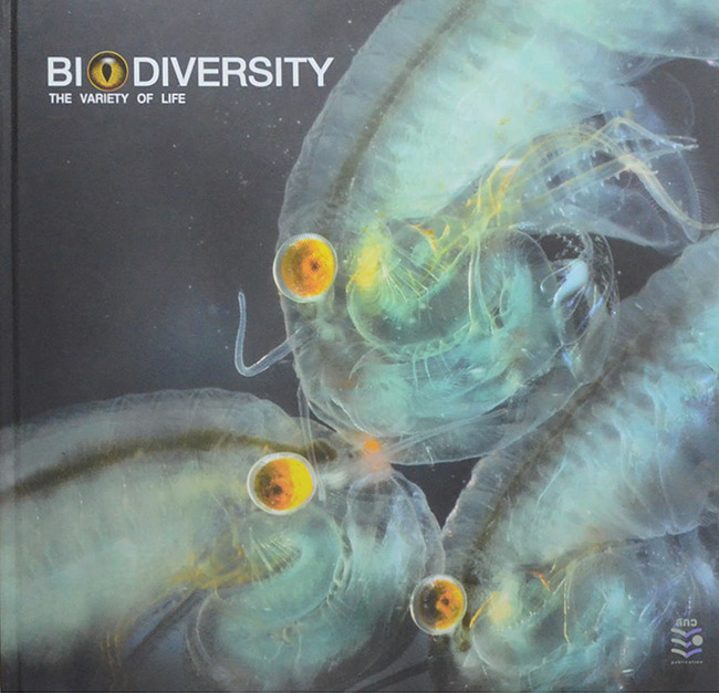 BIODIVERSITY: THE VARIETY OF LIFE