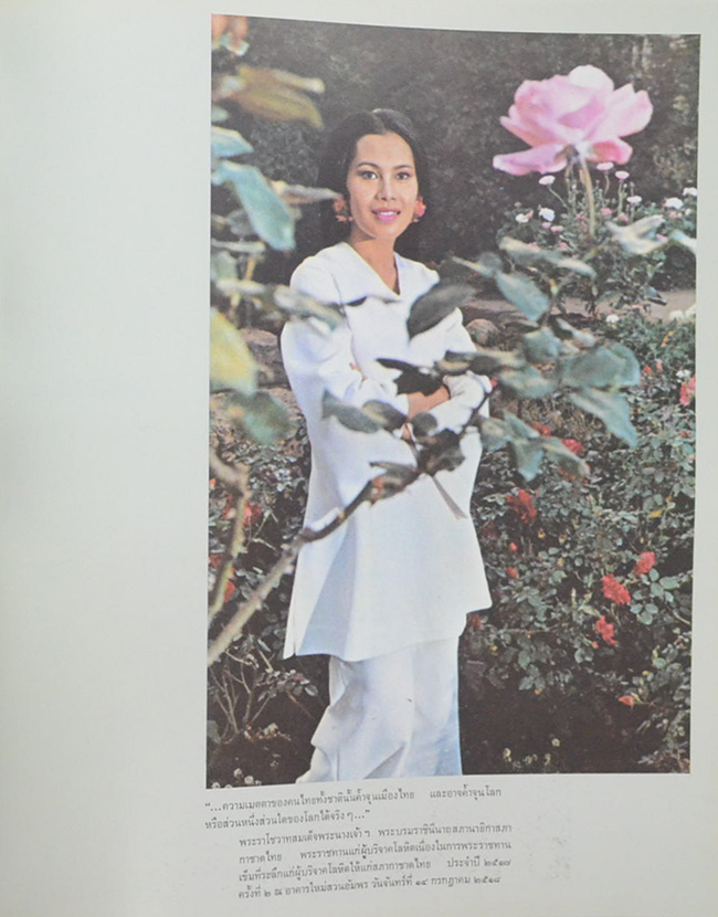 สมุดภาพฝีพระหัตถ์ ภาพเขียน-ภาพถ่าย