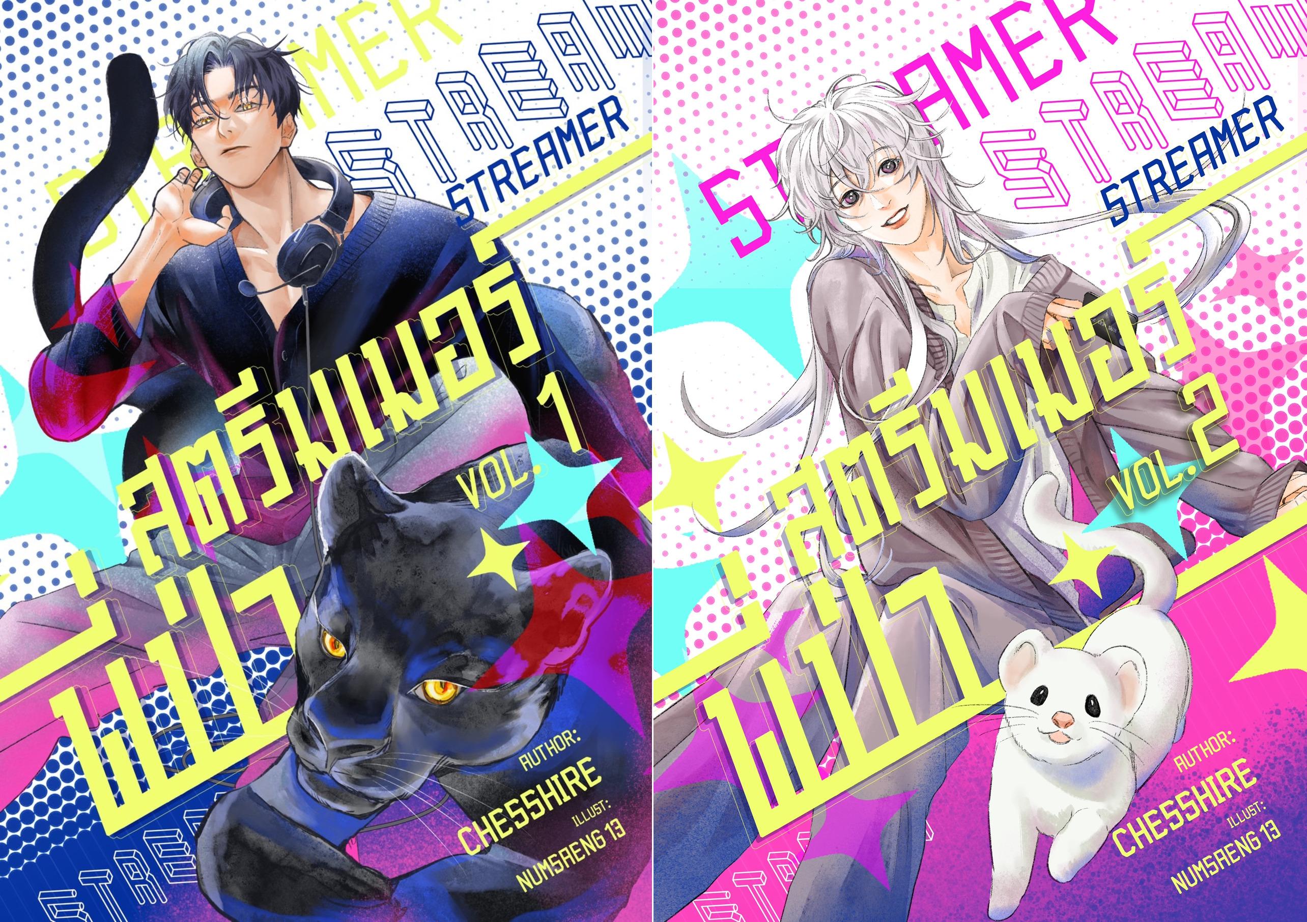 สตรีมเมอร์พี่ป่า (2เล่มจบ)