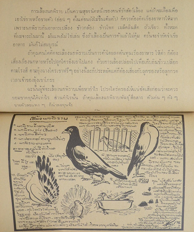 ขบวนการแก้จน (เล่ม 1)